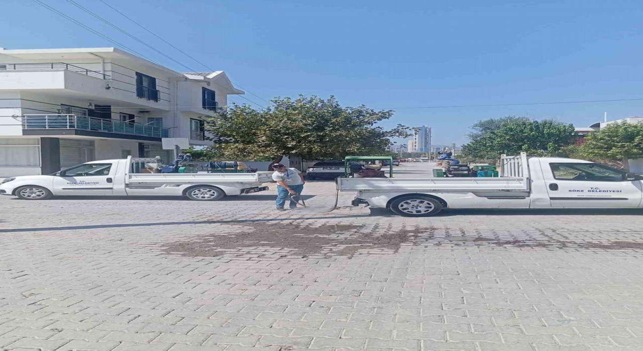 Söke Belediyesinden haşerelere karşı Nokta Atışı mücadele