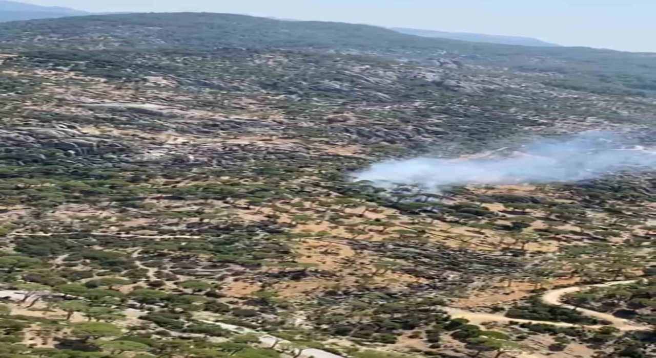 Sökenin Latmos Dağları Değirmen Boğazında yangın alarmı