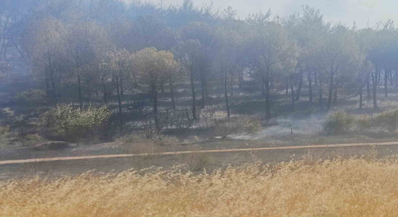 Soma yangınında bir mahalle boşaltındı, bir kişi de gözaltına alındı