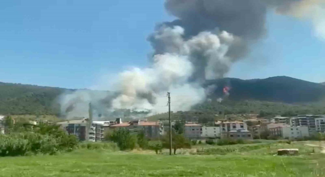 Somada orman yangını