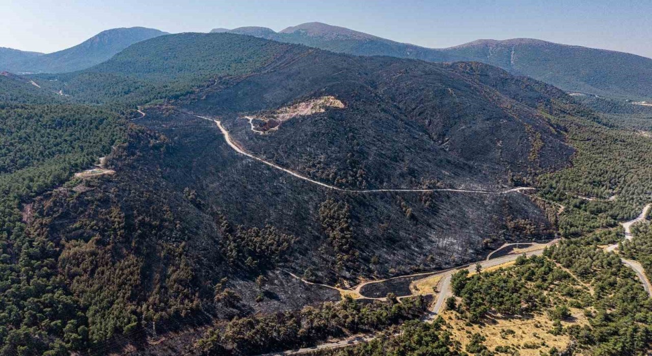 Somadaki orman yangınında soğutma çalışmaları sürüyor