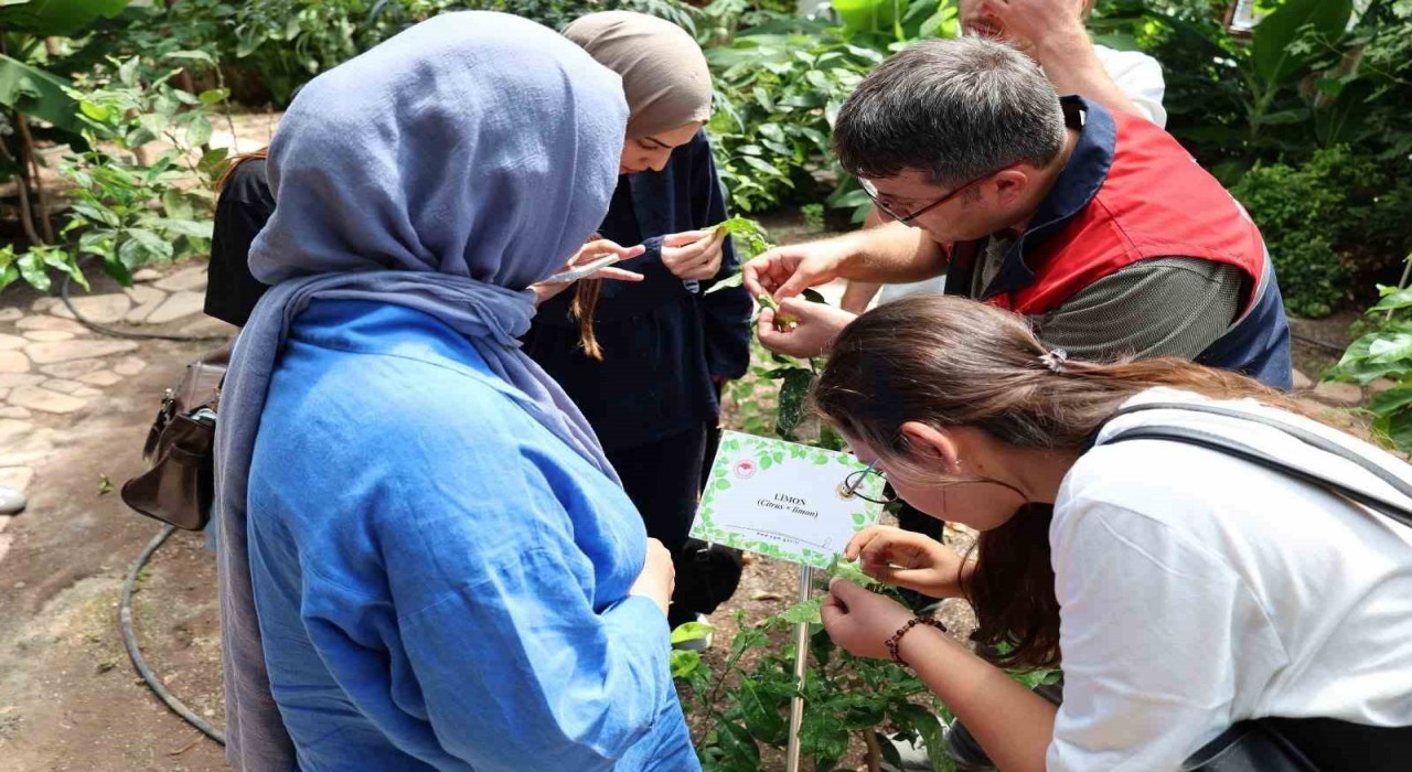 Stajyer öğrenciler Afyonkarahisar Tıbbi ve Aromatik Bitkiler Merkezini gezdi