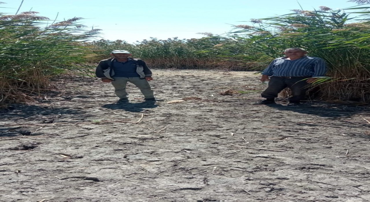 Sultan Sazlığında kuraklık riski