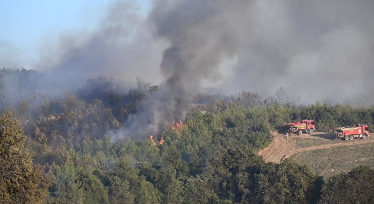 Sumbas’ta Orman Yangını Kontrol Altında: 10 Hektar Alan Yandı