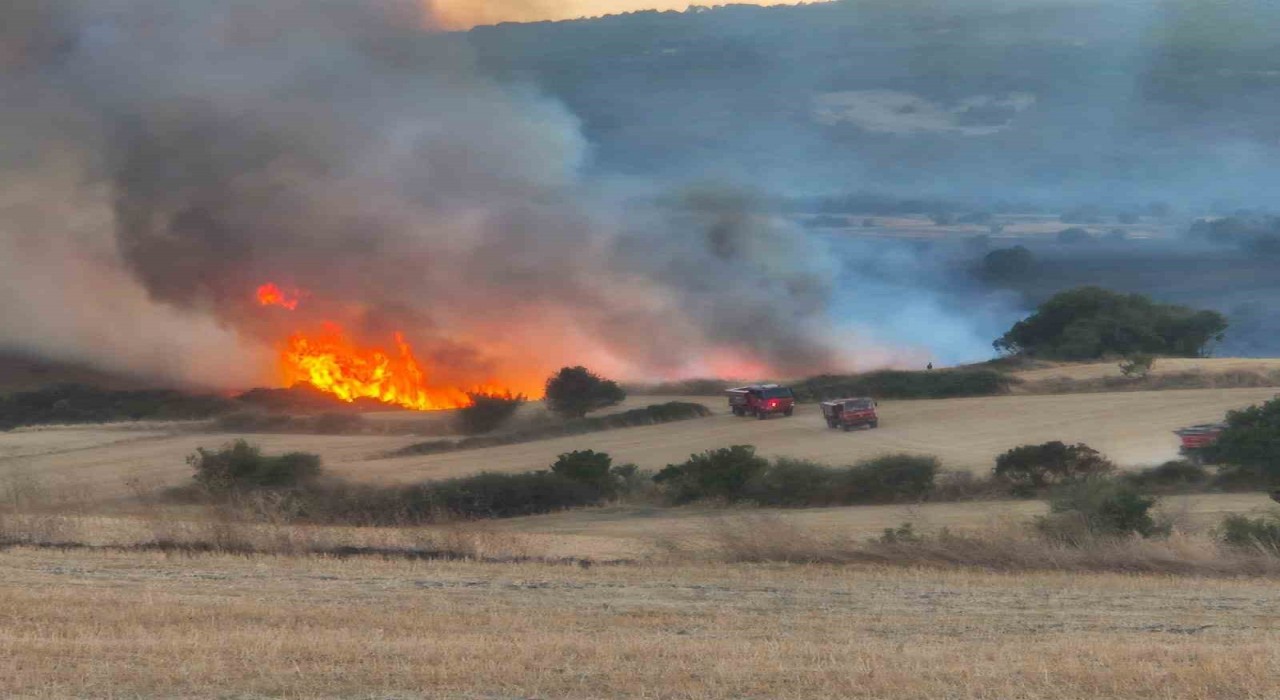 Susurluktaki orman yangınına müdahale sürüyor