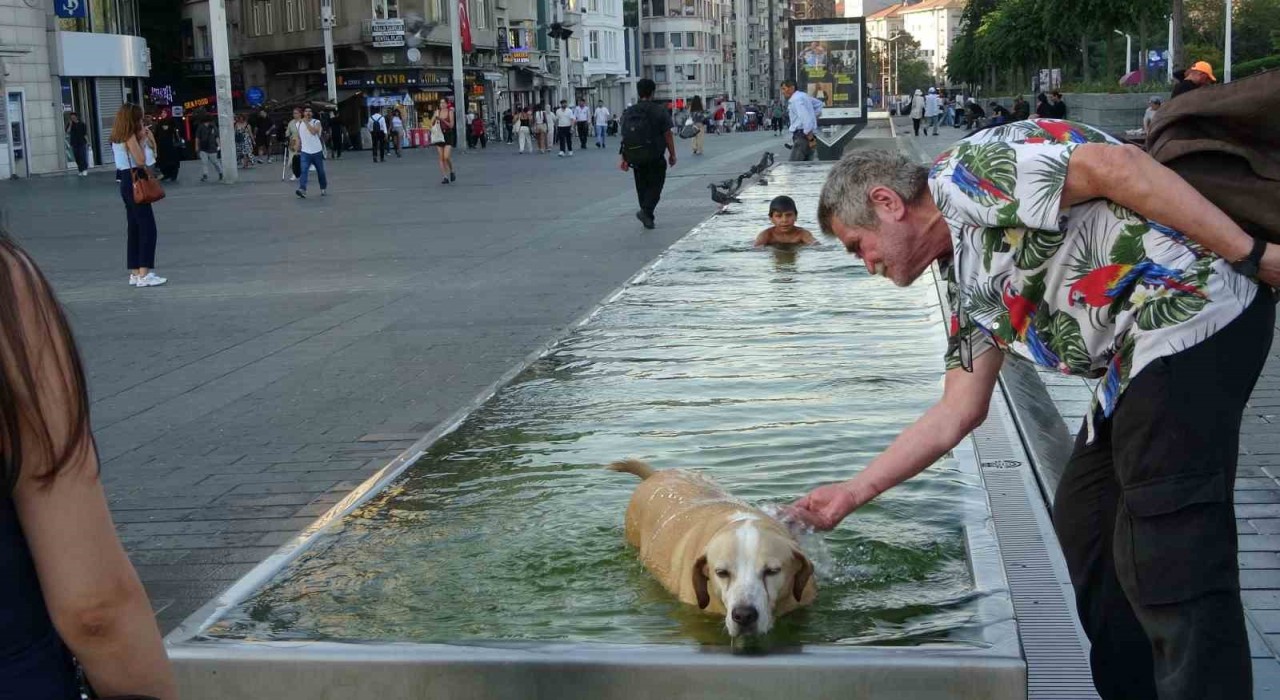 Taksimde sıcak havadan bunalan çocuk ve köpek süs havuzunda serinledi