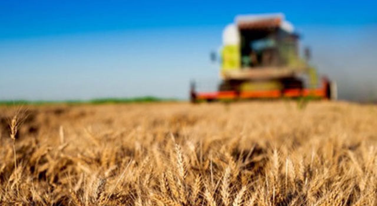 Tarım-GFE Haziran 2025 Verileri Açıklandı: Yıllık Artış %33,88