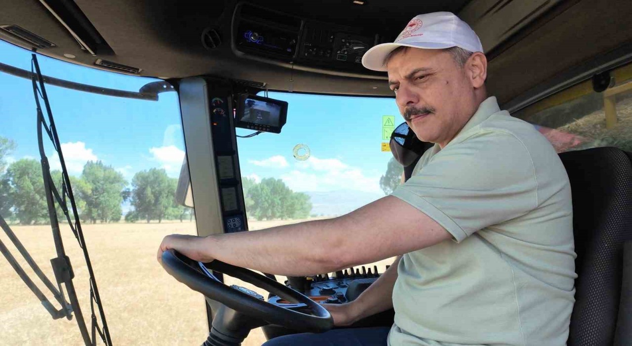 Tarım Lisesinde buğday hasadı