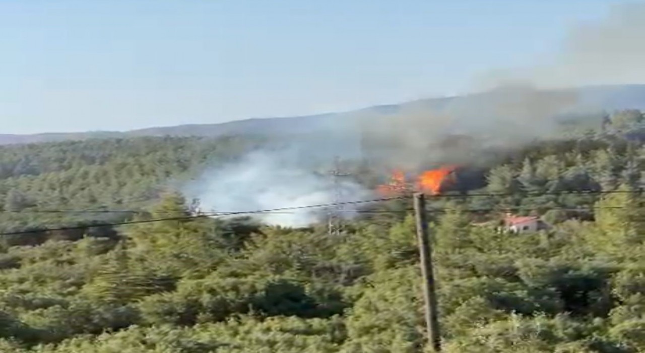 Tavasın ciğerlerini ateşe veren kundakçılardan akıl almaz tuzak
