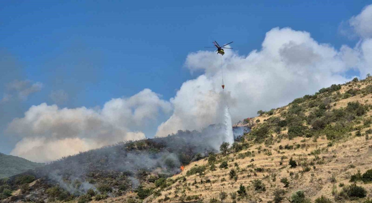 Tekirdağ Şarköyde makilik alanda çıkan yangına müdahale ediliyor