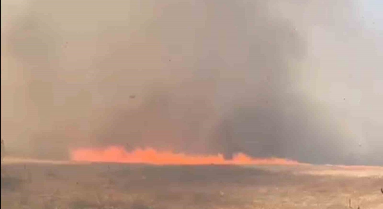 Tekirdağda alevler tarla ve ormanı sardı: 10 ev boşaltıldı