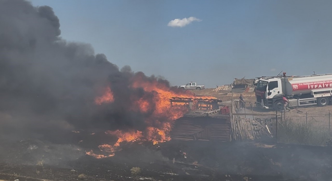 Tekirdağda besi çiftliğinde yangın