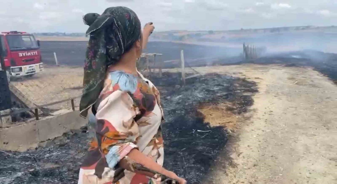 Tekirdağda çıkan yangın yerleşim alanlarını tehdit etti