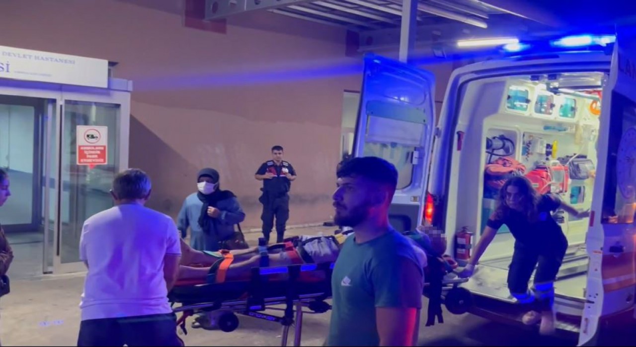 Tekirdağda çoban köpeğine çarpan motosikletli yaralandı