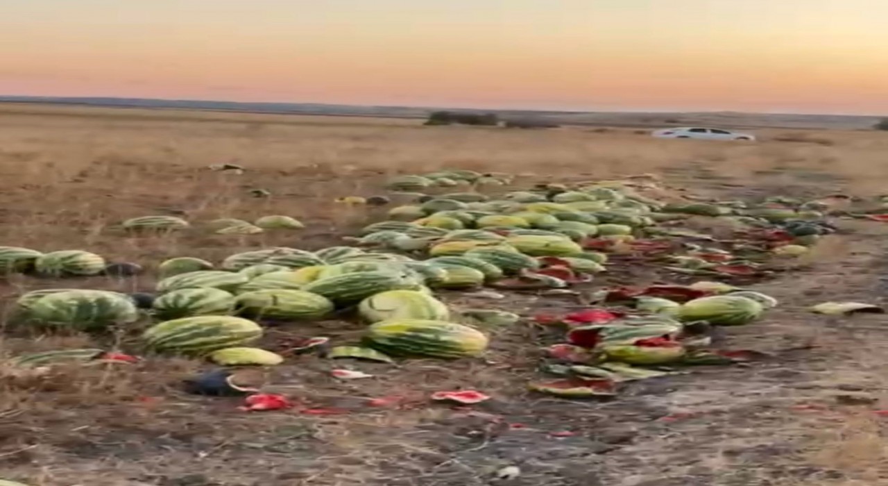 Tekirdağda israf tepkisi: Karpuzlar yola saçıldı