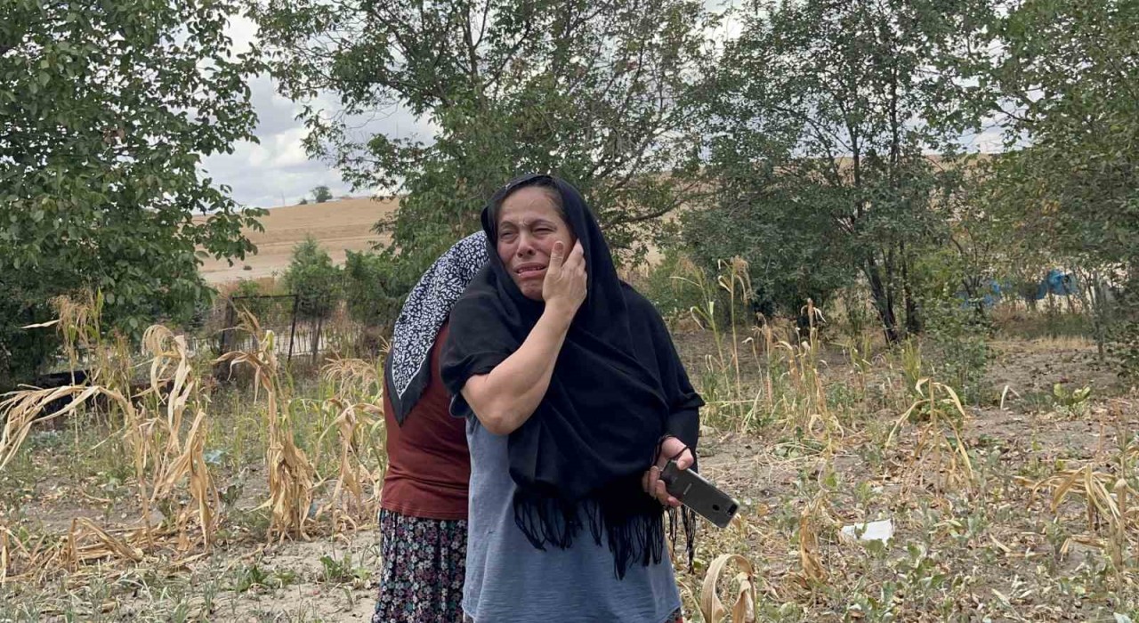 Tekirdağda korkutan yangın: Mahsur kalan kediler için ağladılar