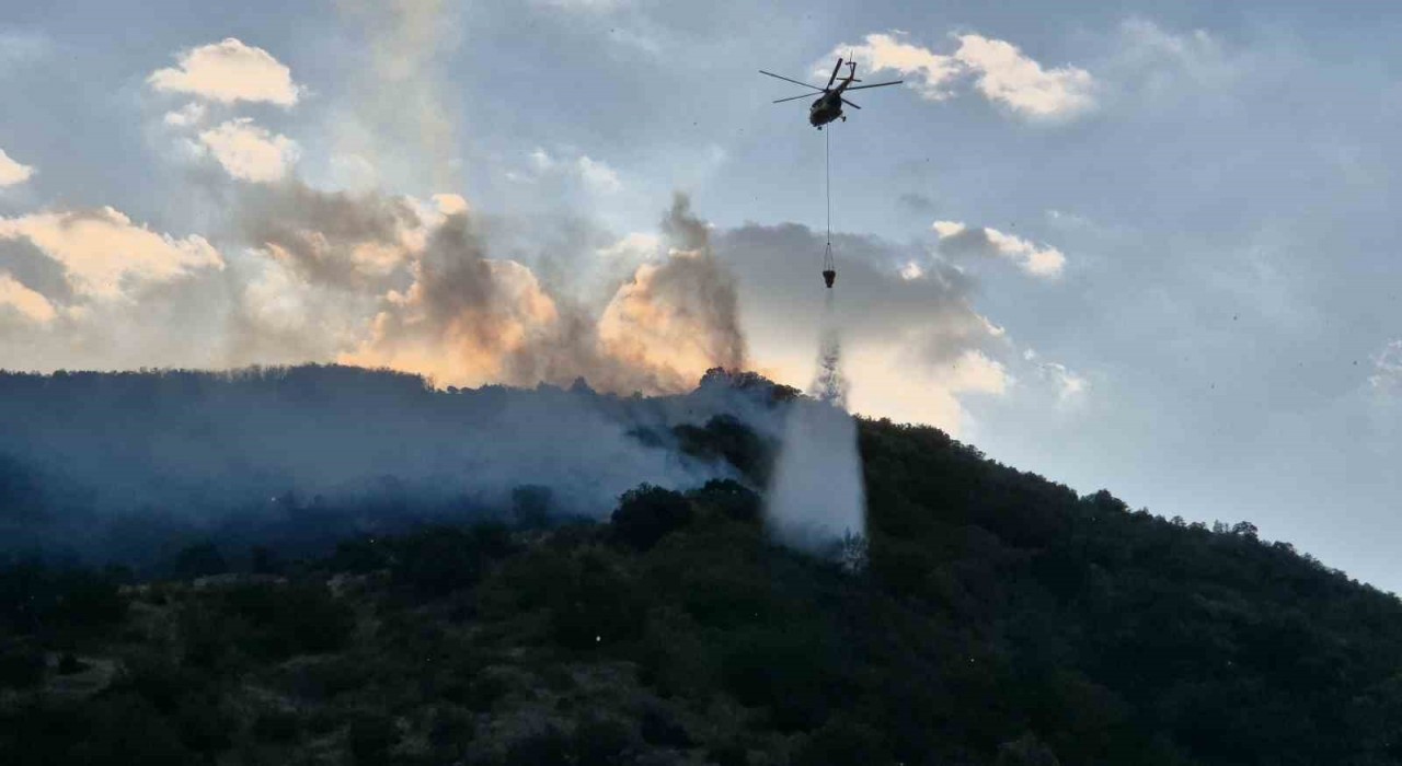 Tekirdağda orman yangınına müdahale sürüyor