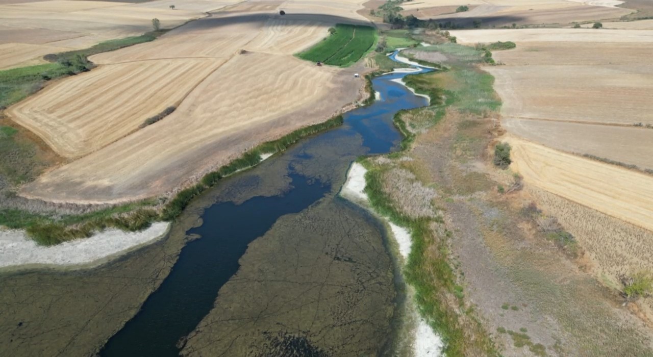 Tekirdağda Sarılar Göleti kuraklıktan nasibini aldı