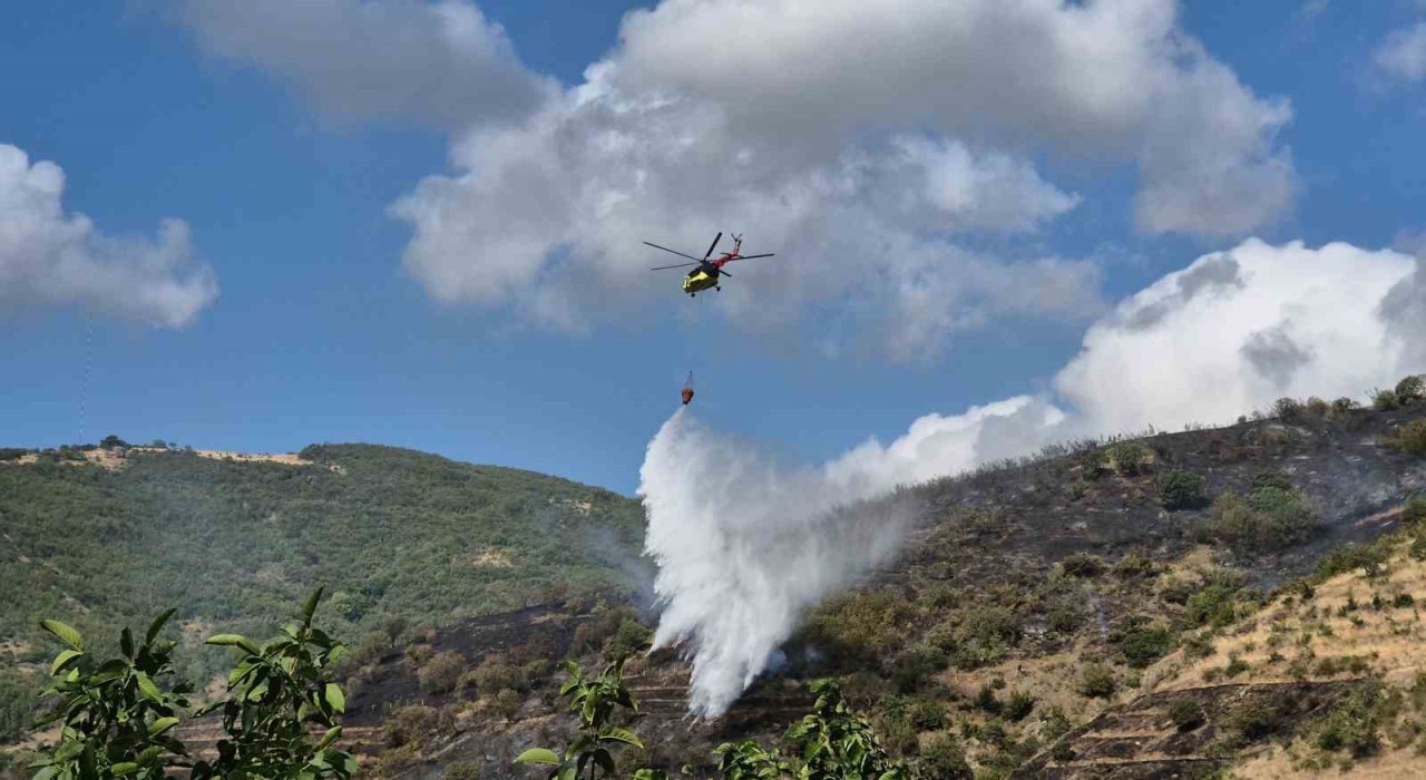 Tekirdağdaki makilik yangını kontrol altına alındı