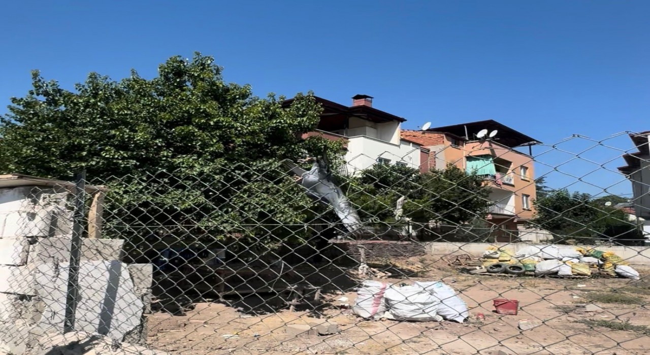 Tellere takılan güvercin imdadına muhtar yetişti