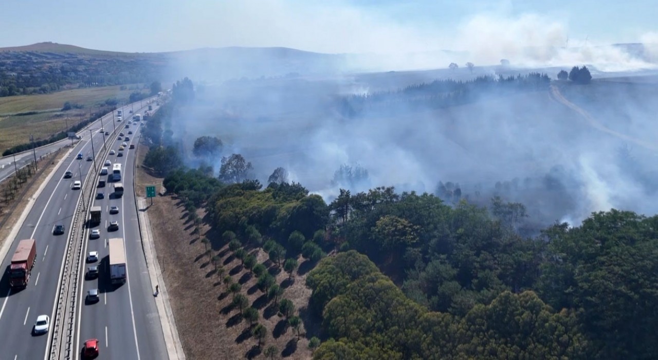 TEM Otoyolu kenarındaki ağaçlık alanda çıkan yangın söndürüldü