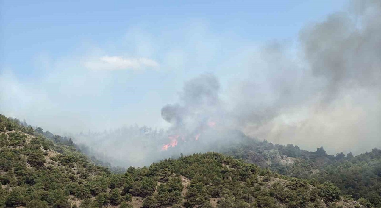 Tokatın Erbaa ilçesinde çıkan orman yangınına müdahale ediliyor