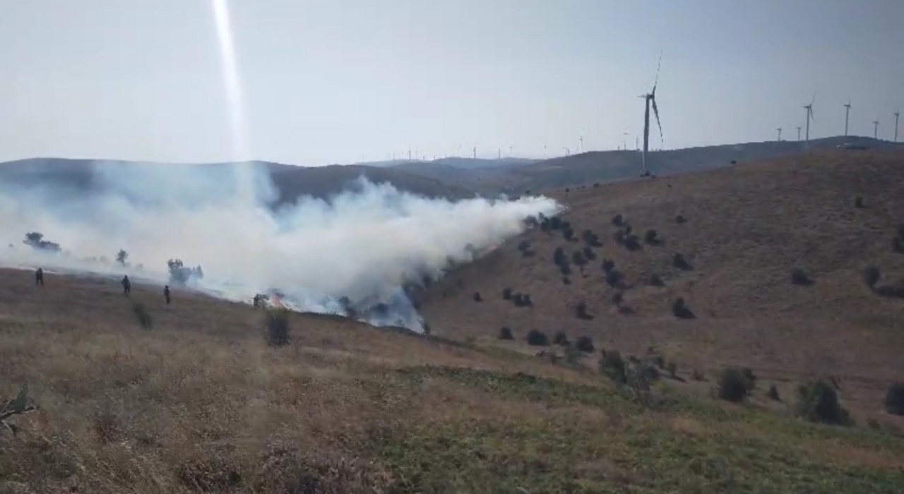 Tokatta örtü yangını kontrol altına alındı