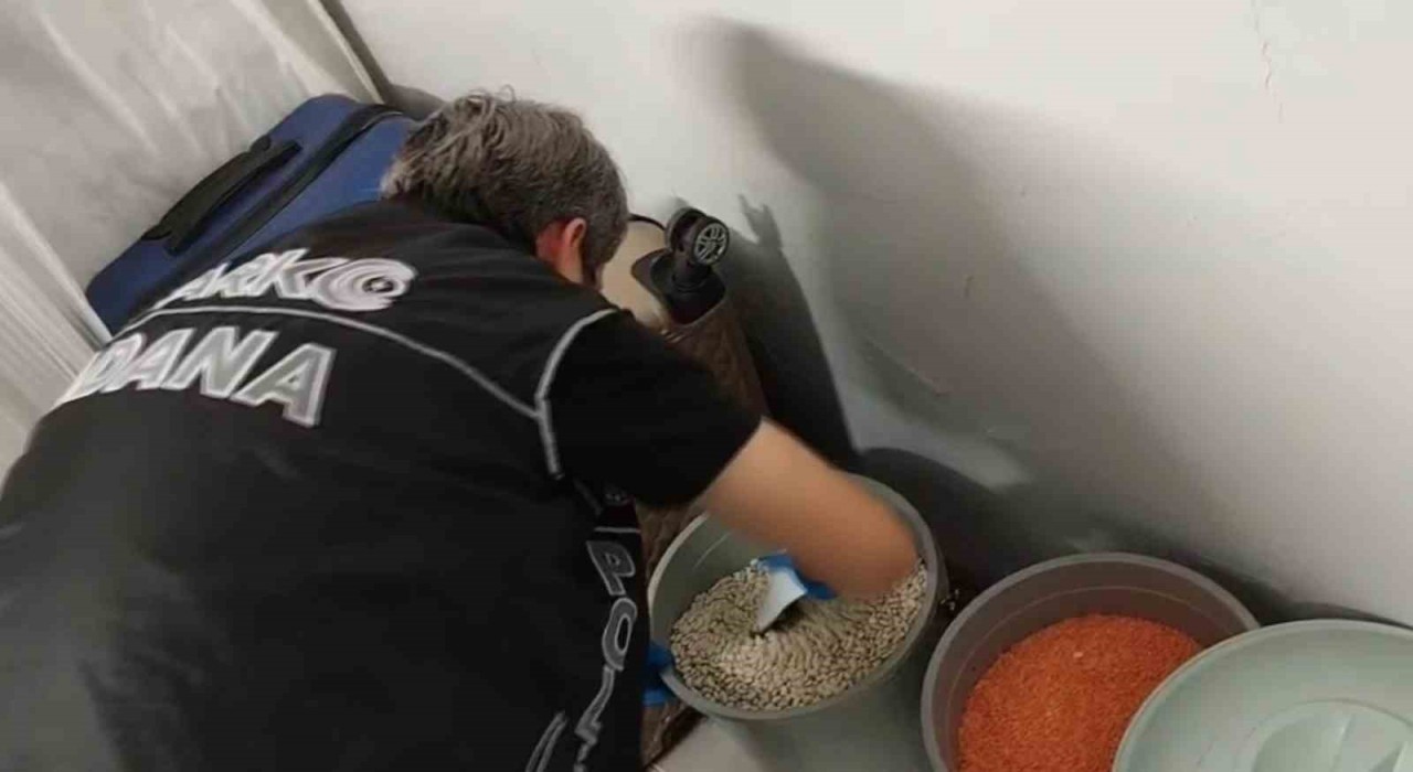 Torbacının bonzai zulası fasulye dolu kova çıktı: 6 tutuklama