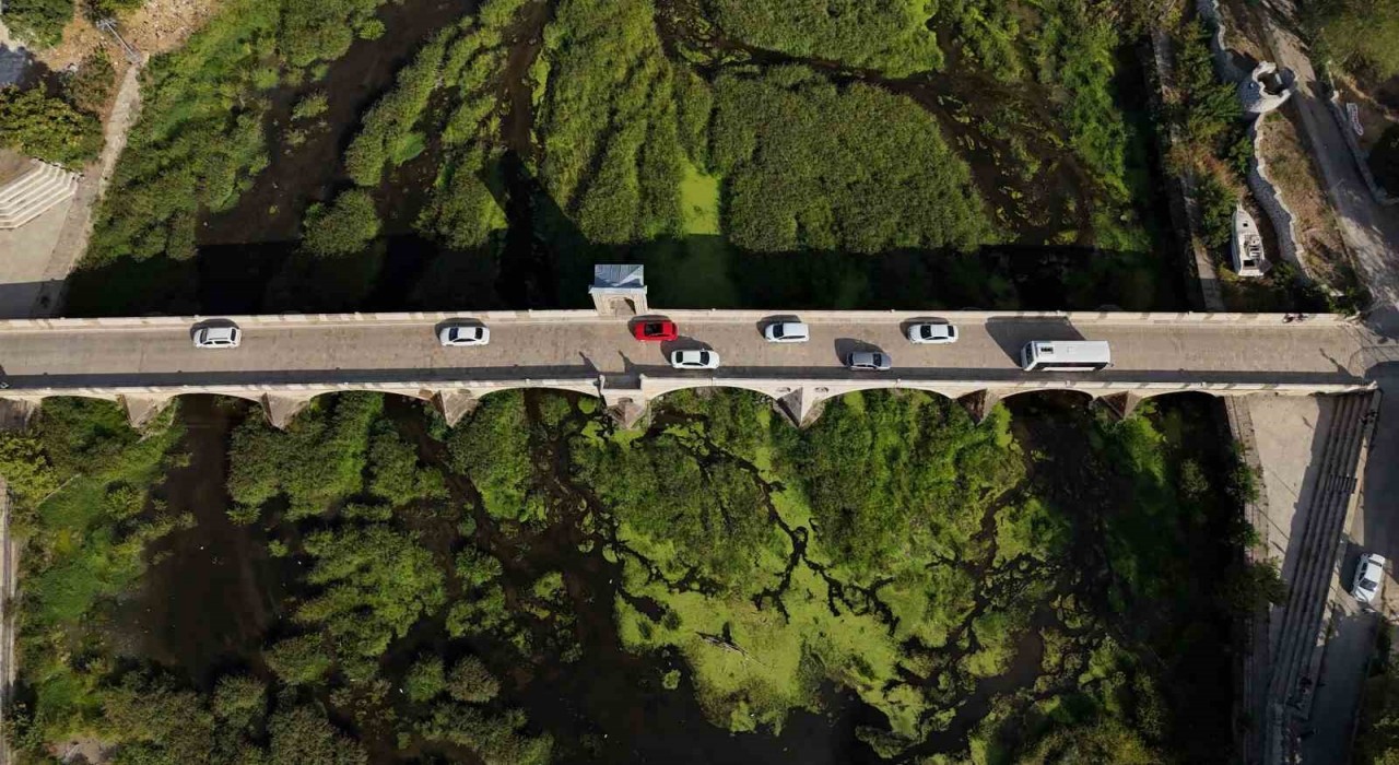 Tunca Nehrinde kuraklık: Otlar yayıldı, su yüzeyi yeşile döndü