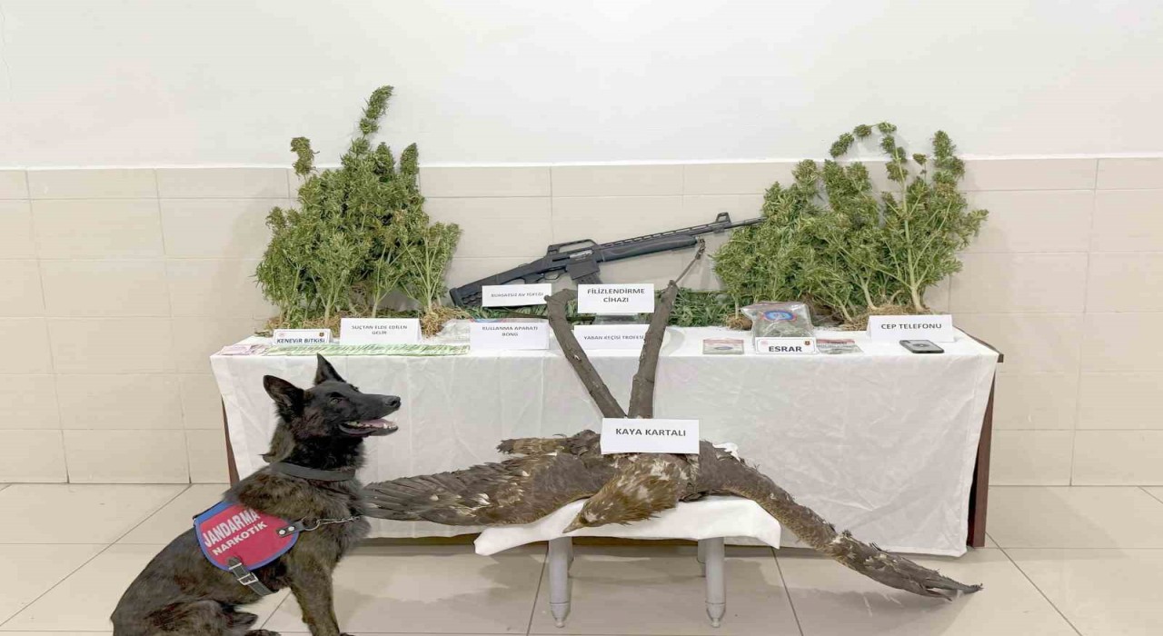 Tuncelide uyuşturucu operasyonu