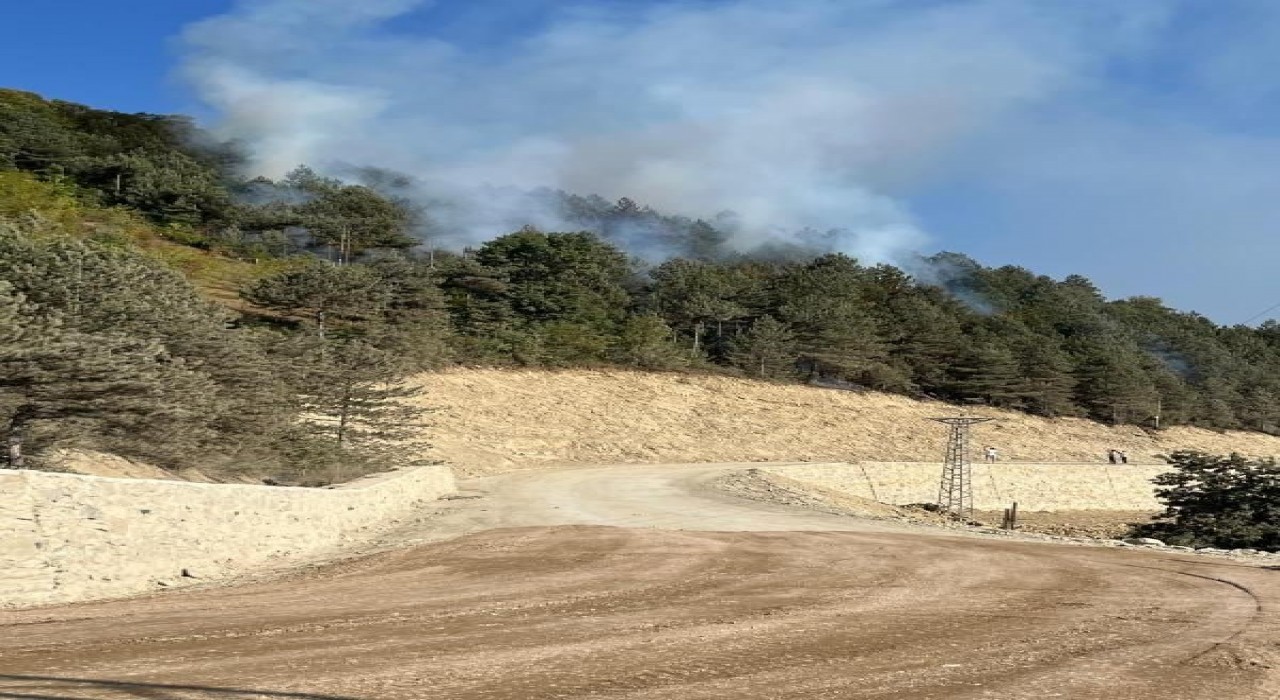 Türkelide ormanlık alanda örtü yangını