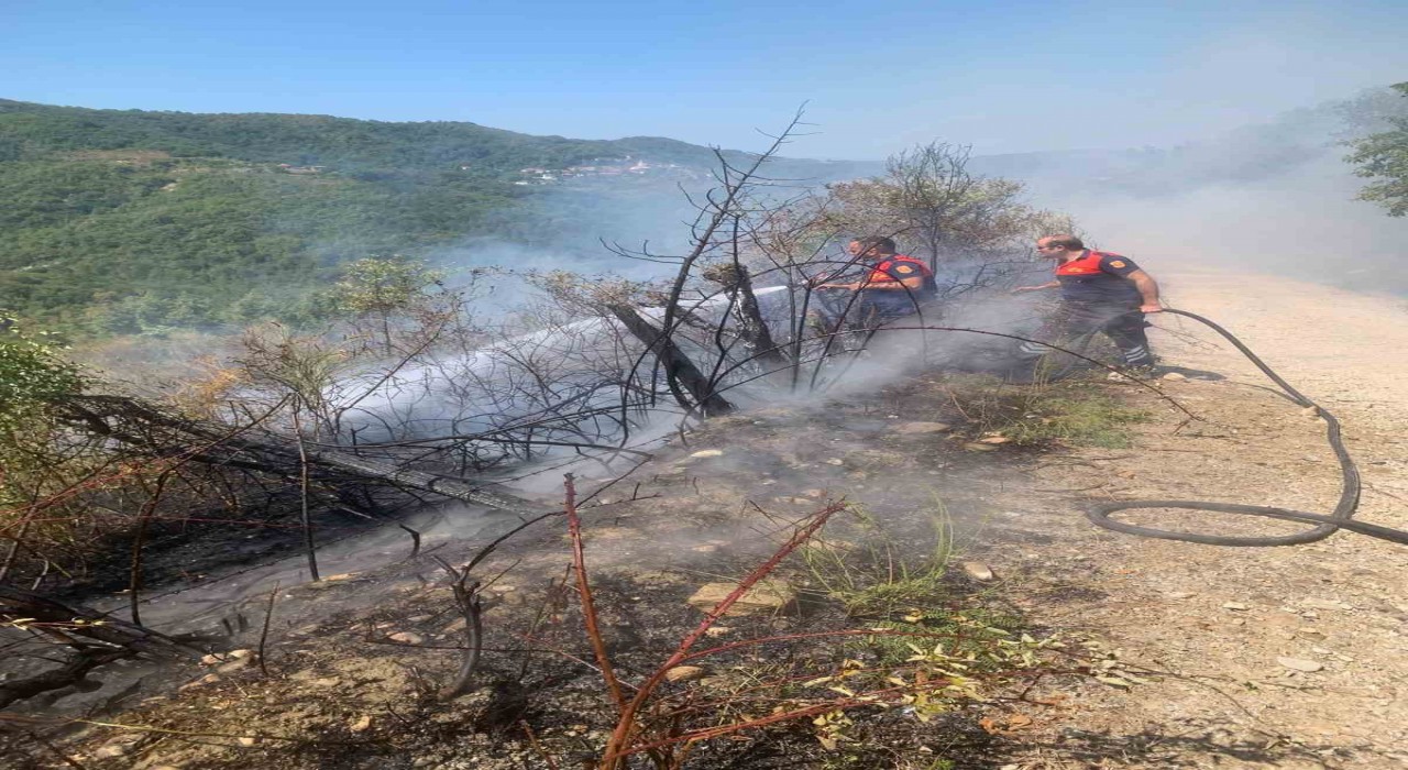 Türkelide ormanlık alanda yangın paniği