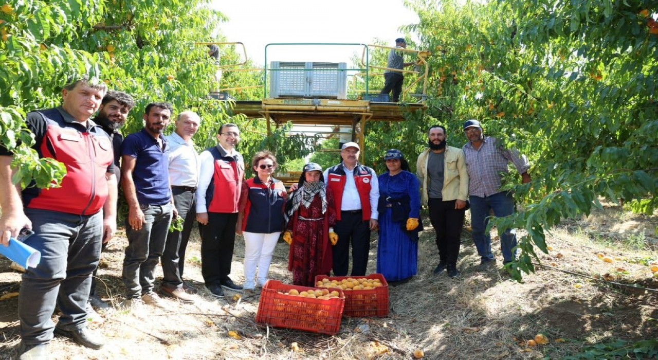 Türkiye genelinde Çanakkale, şeftalide 2nci nektarinde 3üncü sırada