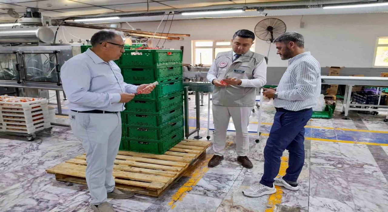 Türkiyede ilk kez gıda ürününe karekod Yalovada basıldı