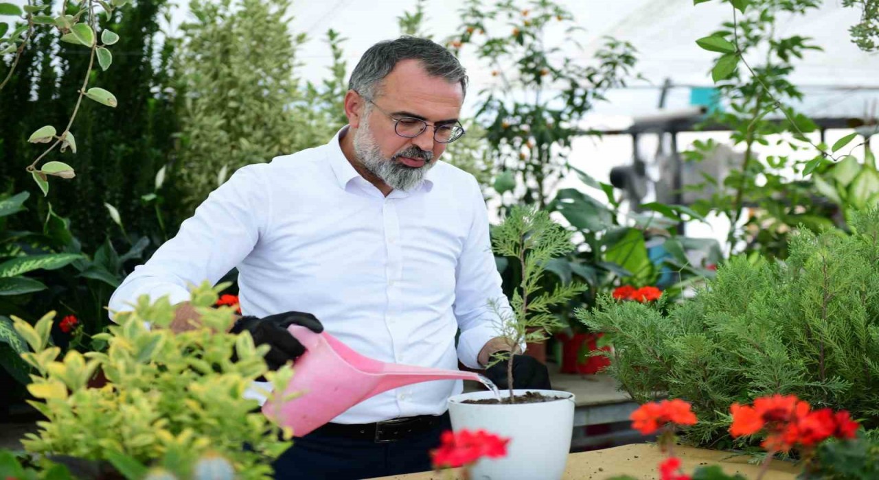 Türkiyenin süs bitki ihtiyacının yüzde 60ını karşılayan Kestel, gövde gösterisine hazırlanıyor