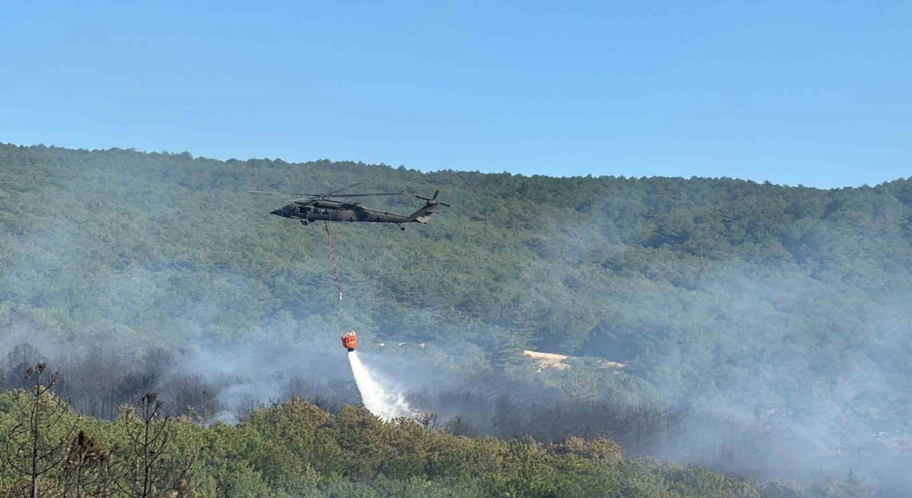 Uşakta orman yangınına havadan ve karadan müdahale ediliyor
