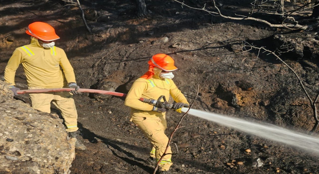 Uşaktaki orman yangını kontrol altına alındı