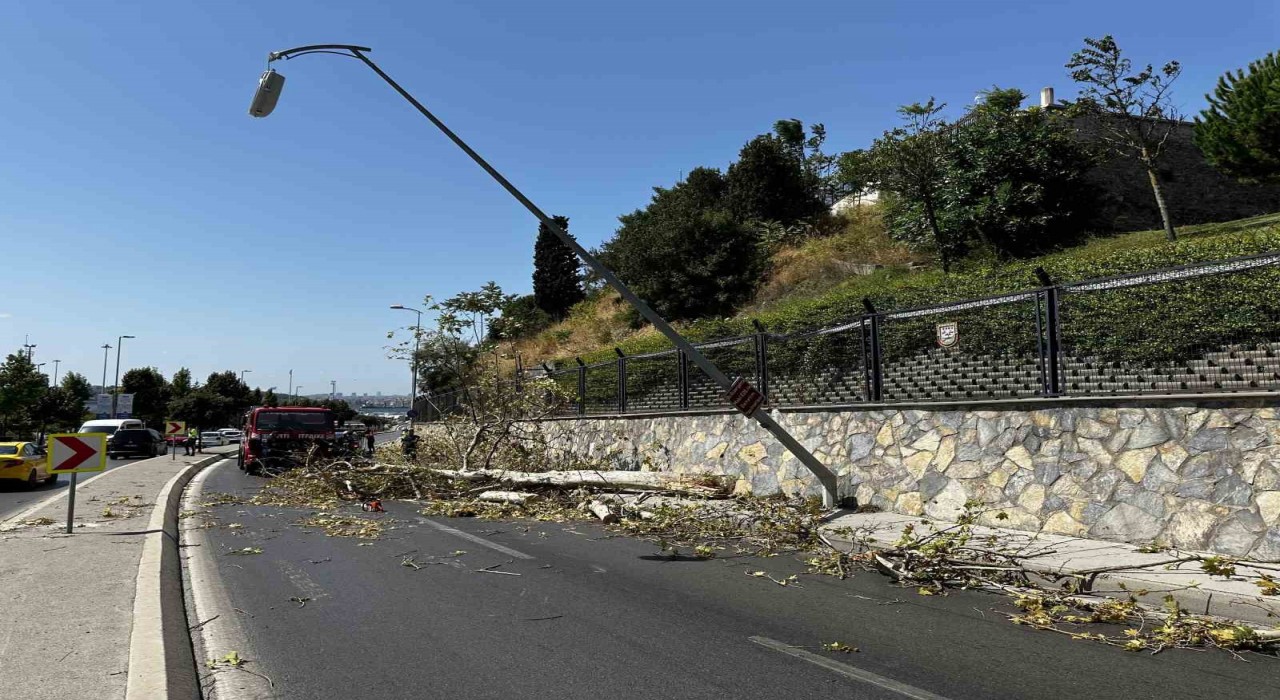 Üsküdarda ağaç seyir halindeki otomobilin üzerine devrildi