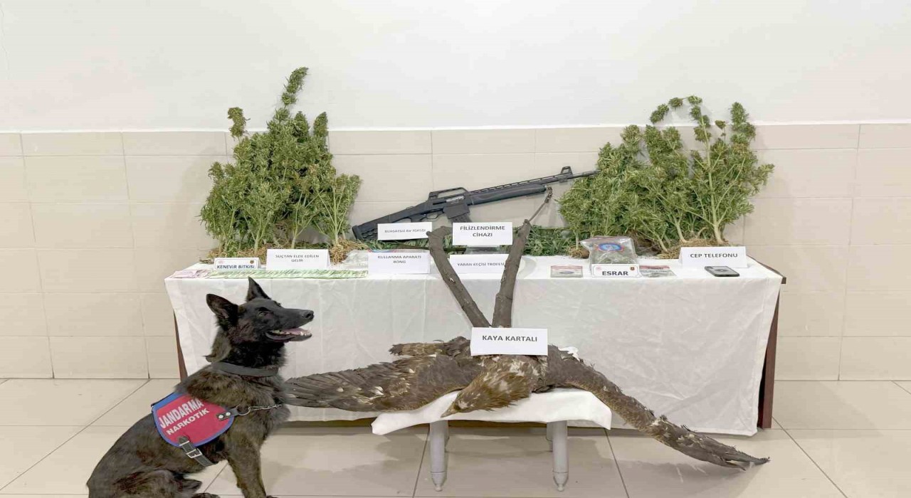 Uyuşturucu ticareti ile kaçak avcılık yapan şahıs tutuklandı