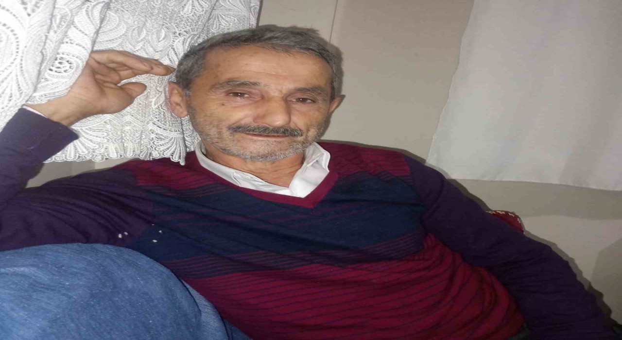 Üzerine ağaç devrilen adam hayatını kaybetti