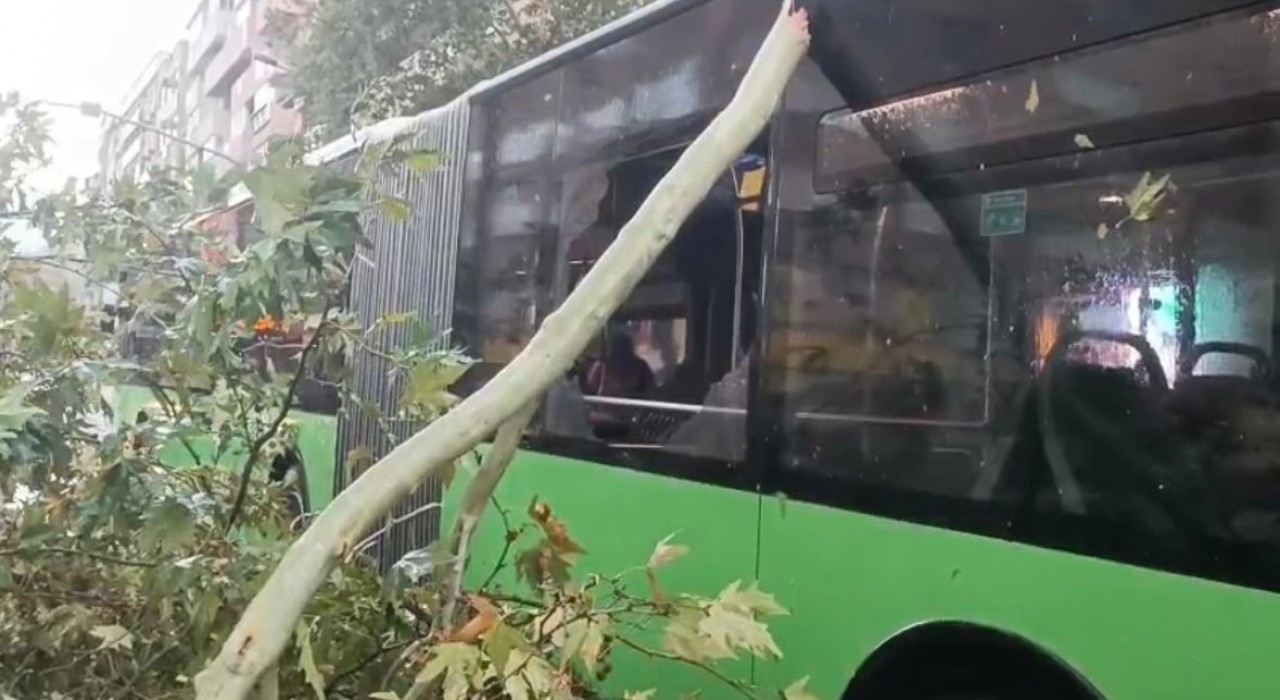 Üzerine ağaç devrilen belediye otobüsünde can pazarı