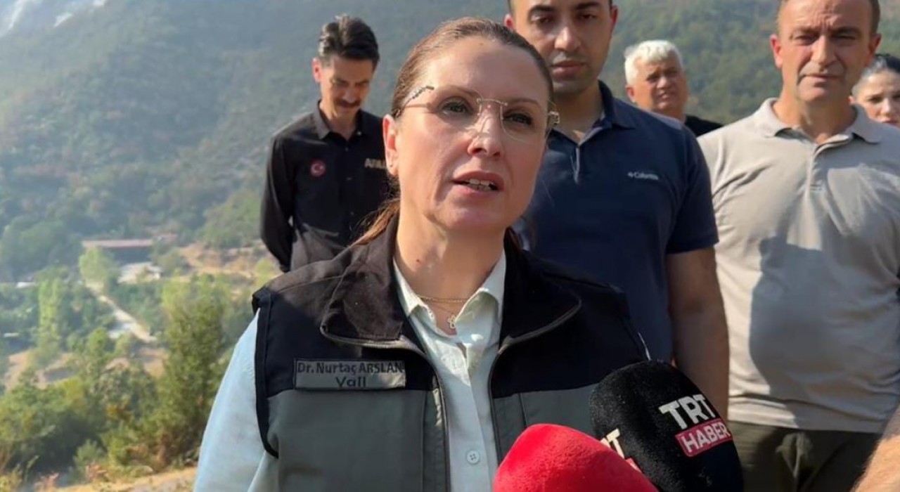 Vali Arslandan yangına ilişkin açıklama