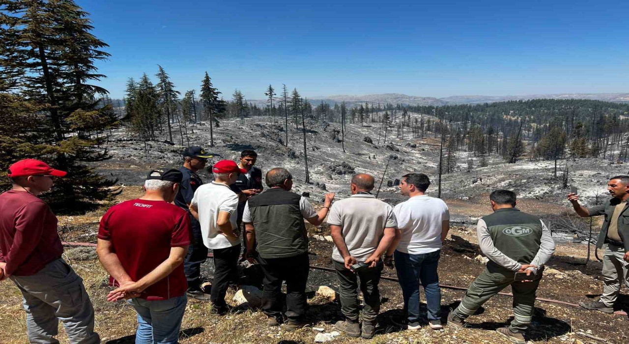 Vali Mehmet Fatih Çiçekli: Yangın tamamen kontrol altına alındı