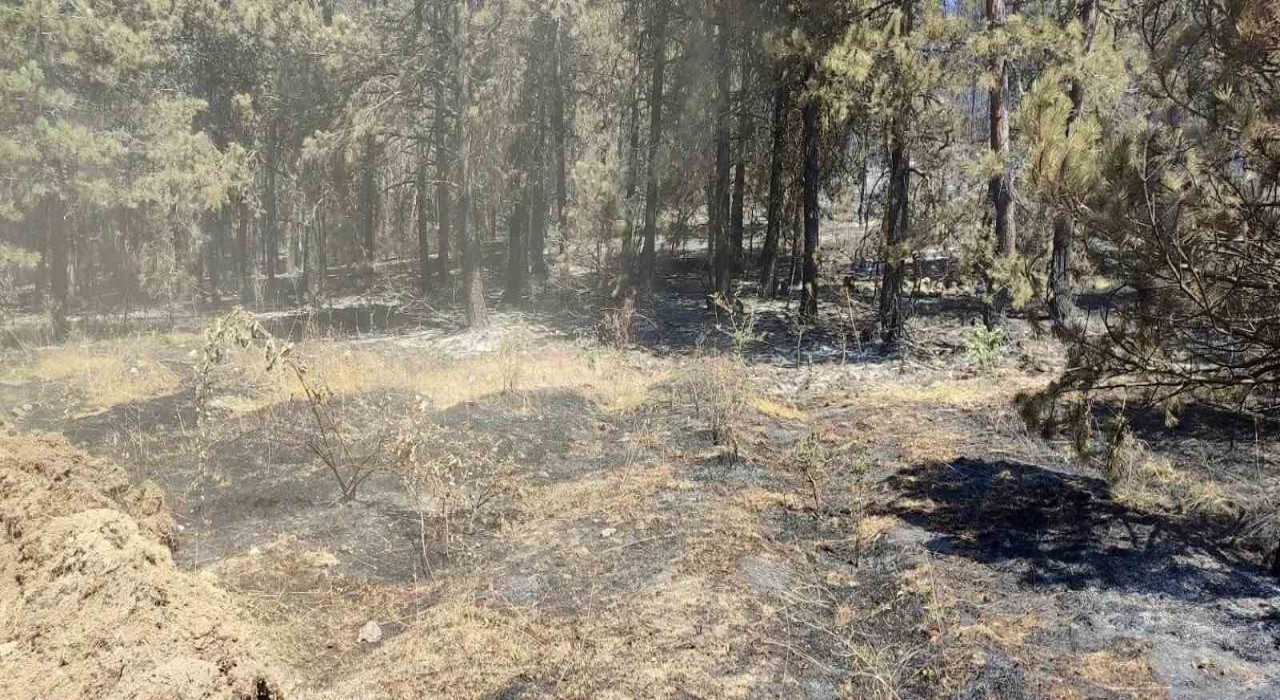 Vali Özarslan: Yangın nedeniyle tahliye edilenler köylerine dönebilir