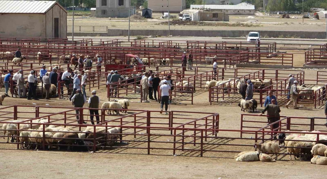 Van Hayvan Pazarı yeniden hizmete başladı