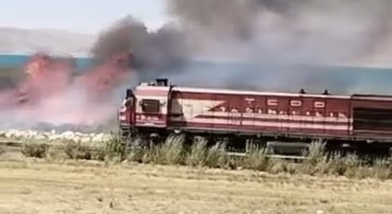 Vanda Erçek Gölü sazlıklarında yangın