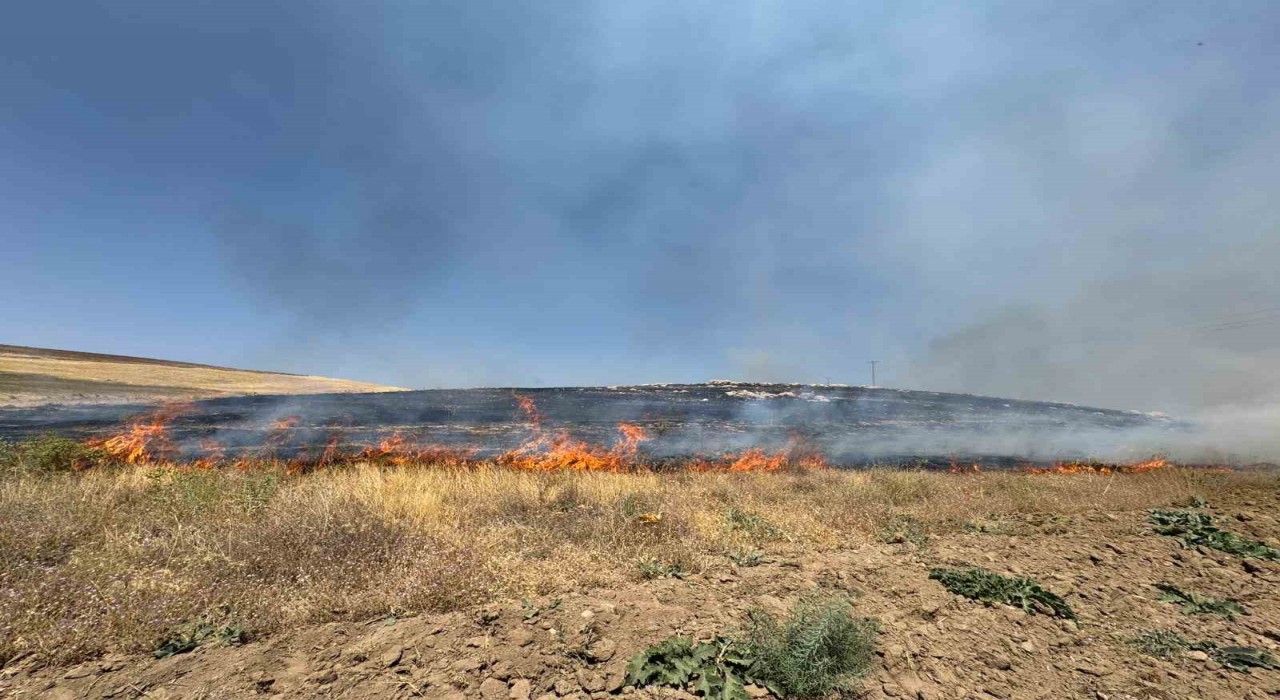 Vanda kuru ot yangını: Yüzlerce dönüm arazi kül oldu