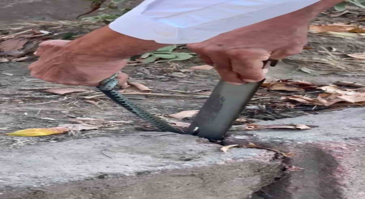 Vatandaştan yılan kurtarma operasyonu