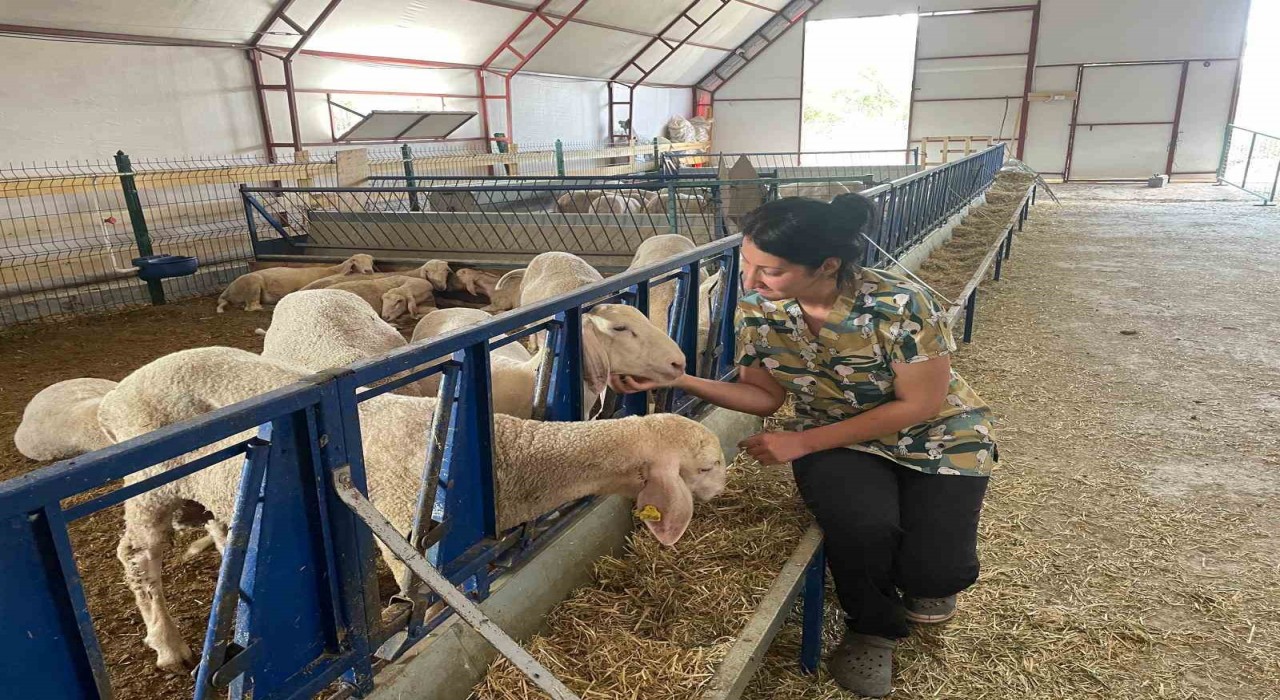 Veteriner genç kadın, kendi işletmesini kurdu