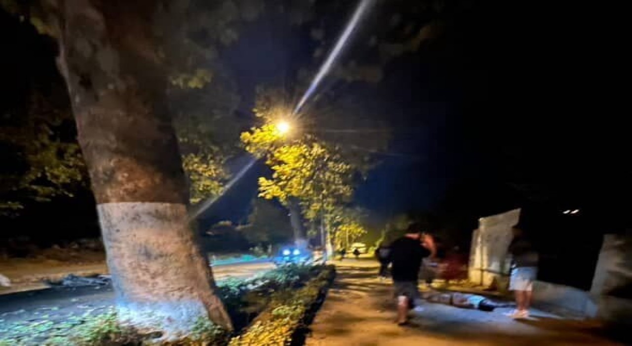 Yalovada ağaca çarpan motosikletli ağır yaralandı